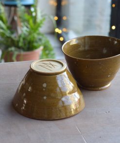 Alternative view of Bol haut