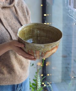 Alternative view of Saladier #05