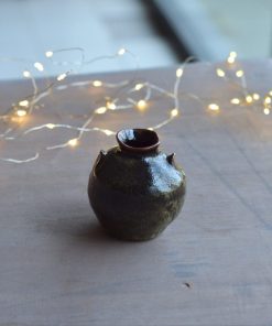 Alternative view of Pot #2