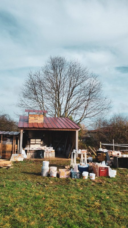 Cuisson bois fevrier 2026 10