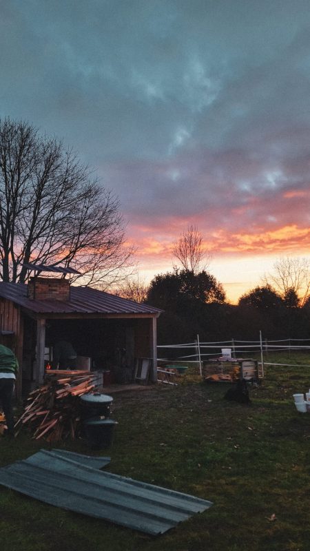 Cuisson bois fevrier 2026 9